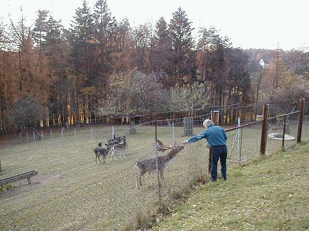 Pension Weber Jennersdorf Dış mekan fotoğraf